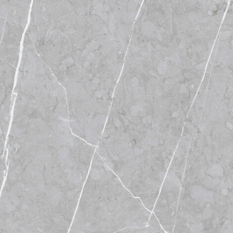 Miave Grey P: Glazed Polished Granito Tile 60.0×60