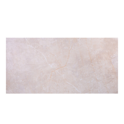 3848-0 Sea Grain Beige: Matt Granito Tile 30.0×60