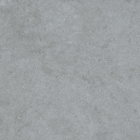 Crusal Grey Panel DM: Matt Granito Tile 40.0×80