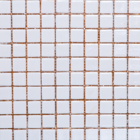 Blanco 100: Glass Mosaic Tile 31.7×31.7 (2.5×2