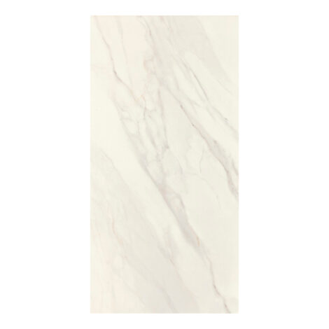 24483E Bianco Covelano: Polished Granito Tile (60.0×120