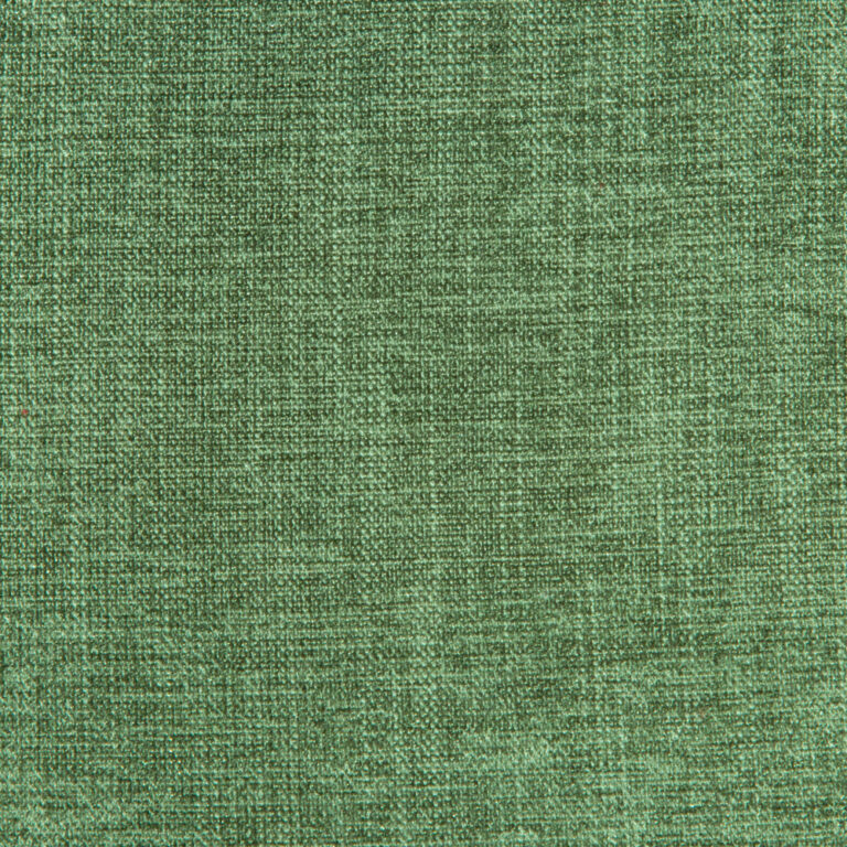 Editors Choice: Upholstery Plain Fabric 140cm 1