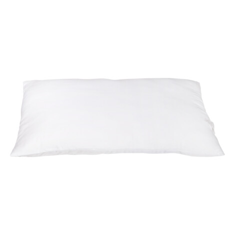 Oscar: Pillow; (50×70)cm 1