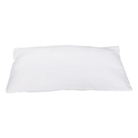 Maple: Standard Pressed Pillow, (50×70)cm, White 1