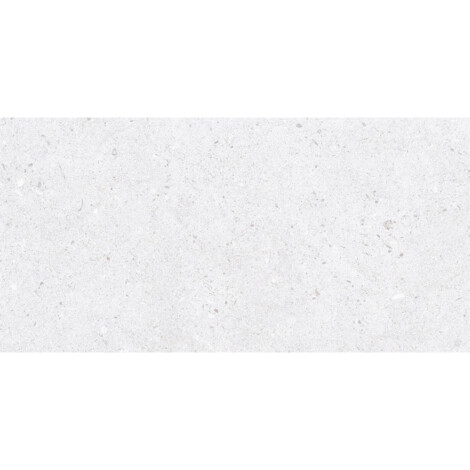 5273 L: Ceramic Tile (30.0×60