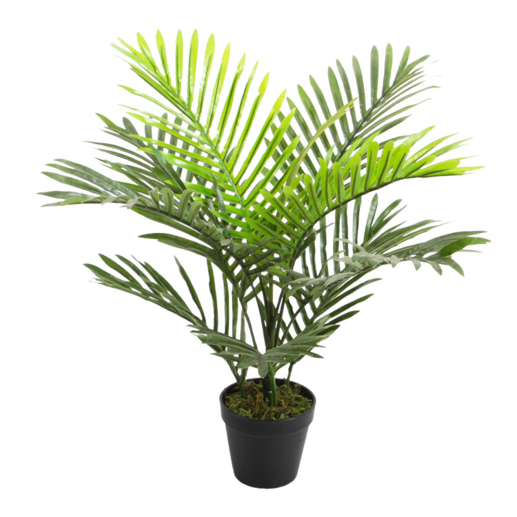 Mini Palm Decorative Potted Flower: 60cm