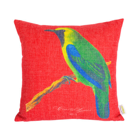 Red with Bird Decoration Outdoor Pillow; (45 x 45)cm,  1