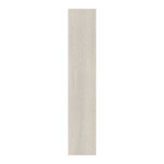 Atrium Boreal Blanco: Matt Granito Tile; (23.0x120.0)cm