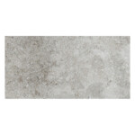 Colosseo Grigio: Matt Granito Tile; (30.4x61.0)cm