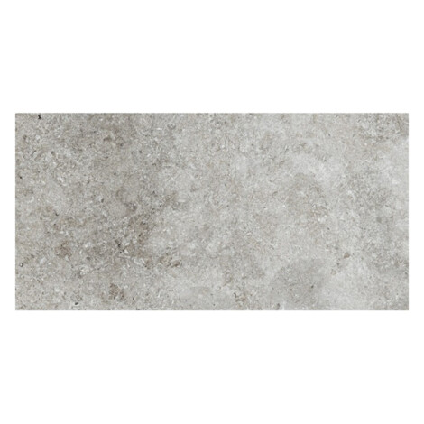 Colosseo Grigio: Matt Granito Tile; (30.4×61