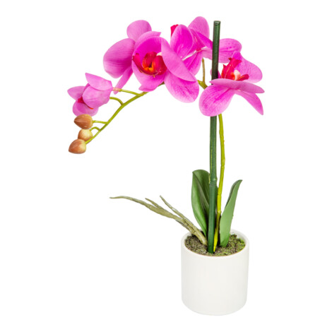 Orchid Decorative Potted Flower: 35cm 1