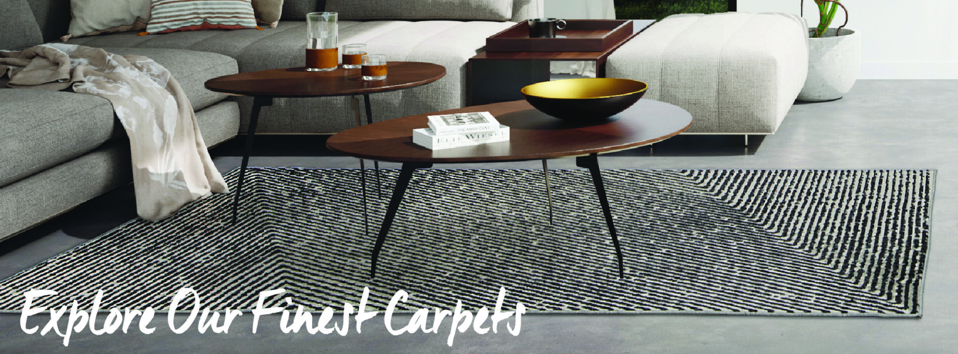 Explore our finest carpets