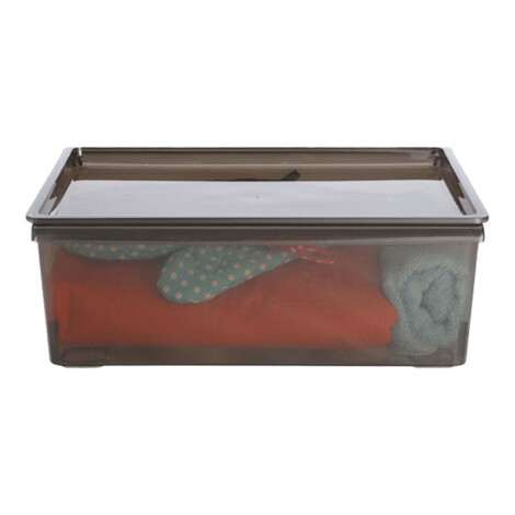 Celine Storage Box, 10.5Lts; (38