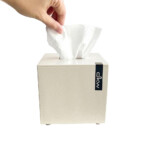 Tissue Box With Lid, Small, Marble Cream