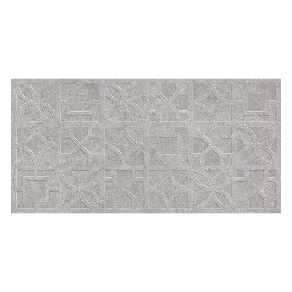 Orra Silver Decor: Matt Porcelain Tile; (60.0×120