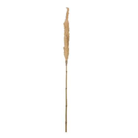 Decoration: Padi Stick, Natural 1