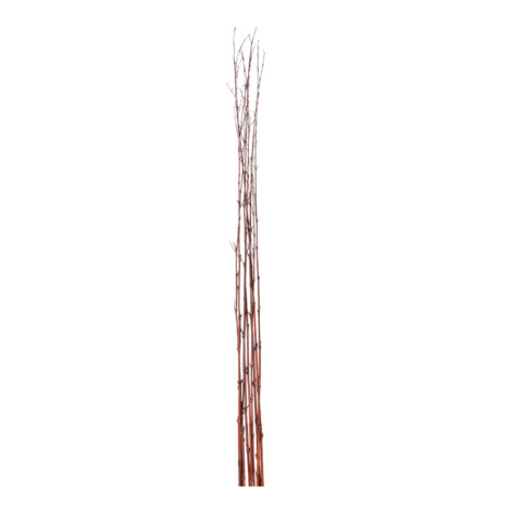 Decorative Bamboo Stick Set; 10pcs, Brown 1