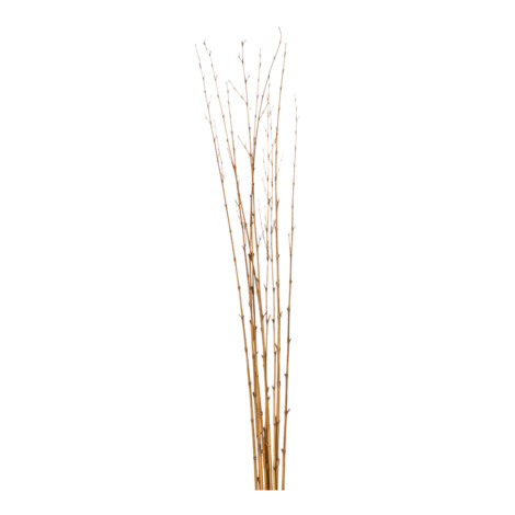 Decorative Bamboo Stick Set; 10pcs, Natural 1