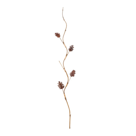 Bamboo Stick Dry Pine Flowers, Natural 1