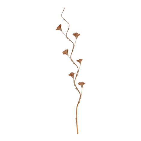 Bamboo Stick Dry Flower Orchid, Natural 1