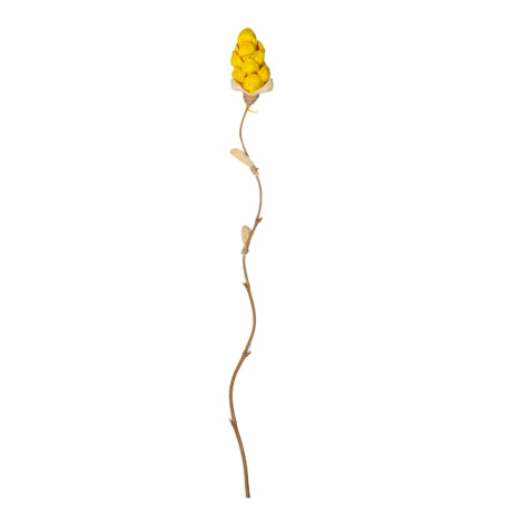 Bamboo Stick Dry Flower Pineapple Design, Yellow 1
