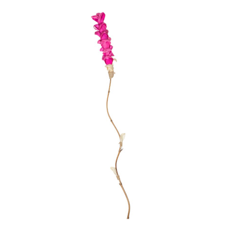 Bamboo Stick Stamp Flower, Pink 1