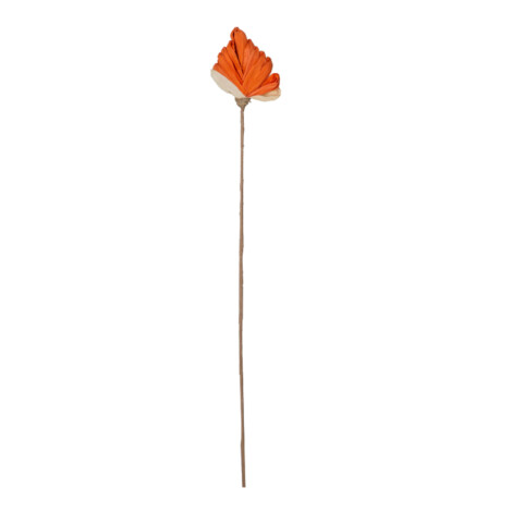 Decoration: Corn Dry Leaf, Orange 1