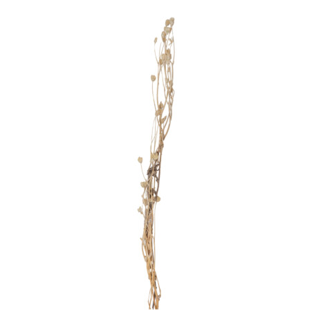 Decoration: Mini Bamboo Décor Stick, Natural 1