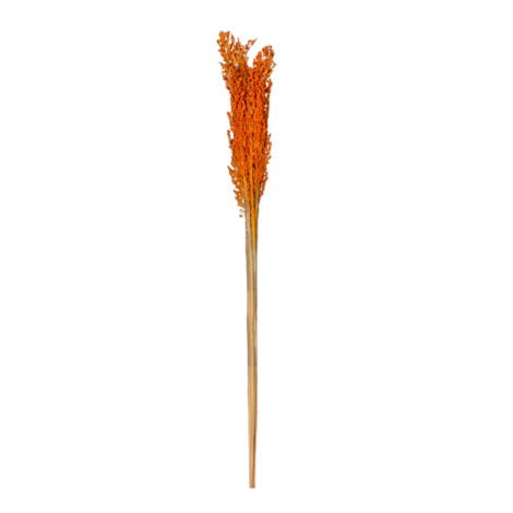 Decoration: Rice Flower Decor, Orange 1