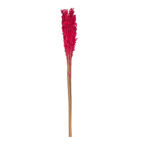 Decoration: Rice Flower Decor, Pink 1