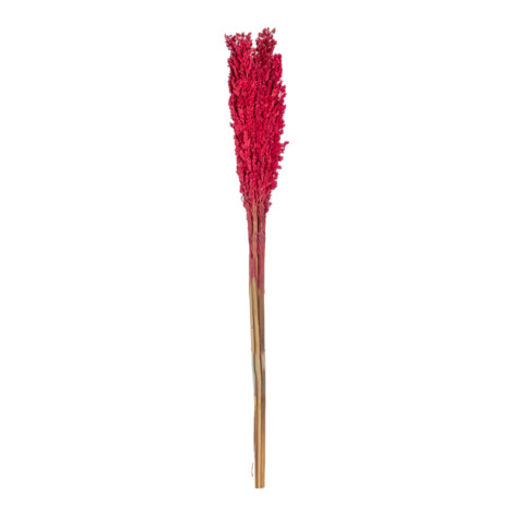 Decoration: Rice Flower Decor, Red 1