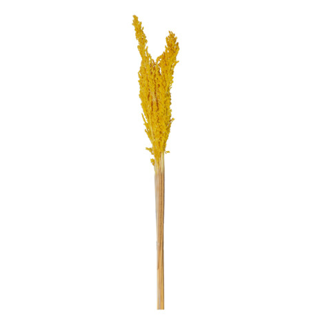 Decoration: Rice Flower Decor, Yellow 1
