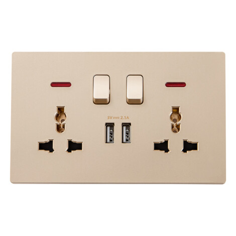 Domus: 2 Gang Universal Switched Socket With Indicator With 2 USB, 13A, 250V, Gold 1