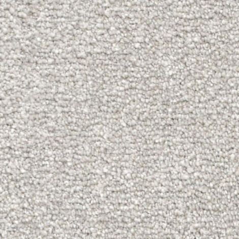 Magic Moment: Carpeting; (x 366x 1