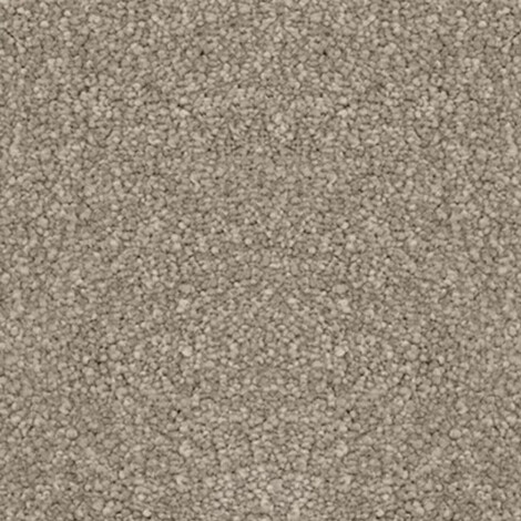 Magic Moment: Carpeting; (x 366x 1