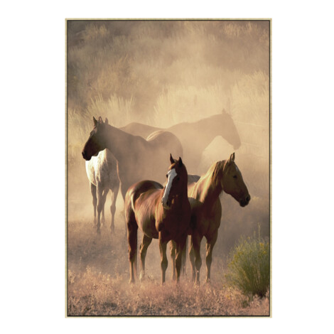 Canvas Horses Painting; (120×80)cm 1
