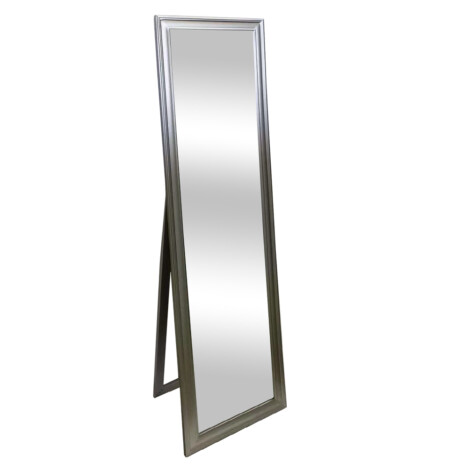 Decorative Standing Mirror With Frame; (44×160)cm, Gold/Silver 1