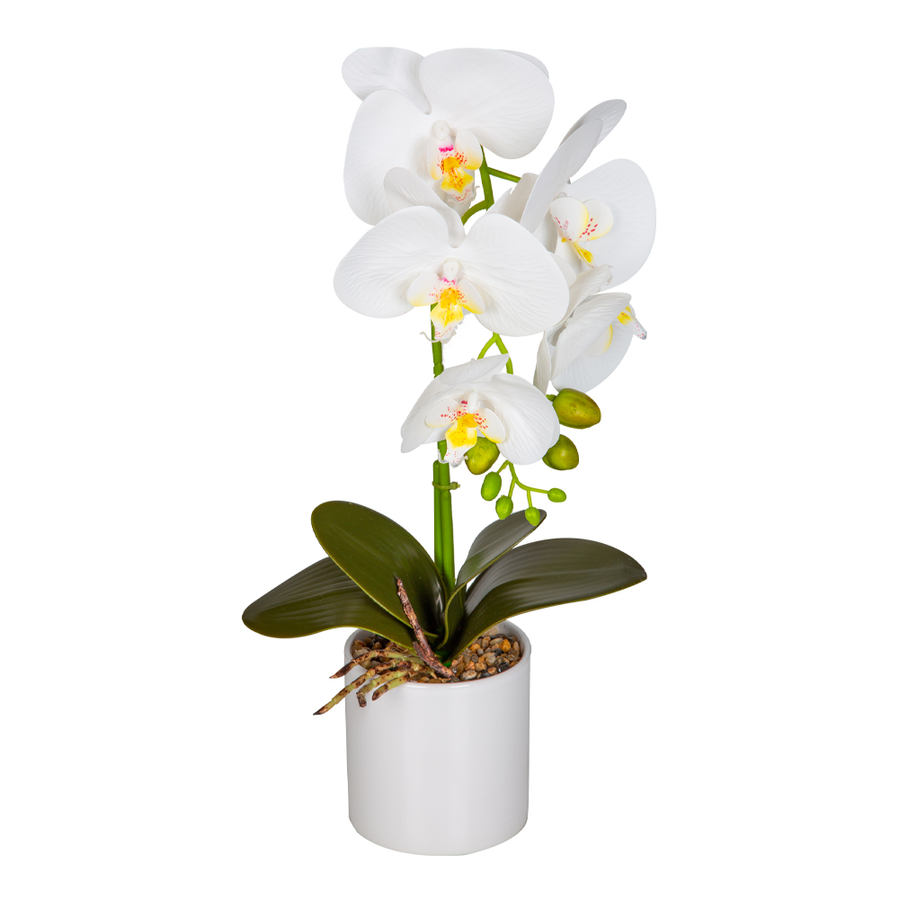 Decorative Plant; 35cm 1