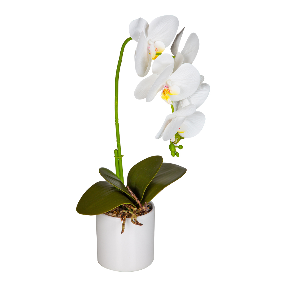 Decorative Plant; 35cm