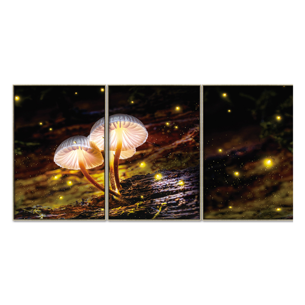 Canvas Magic Mushroom Painting Set, 3pcs; (90×60)cm 1