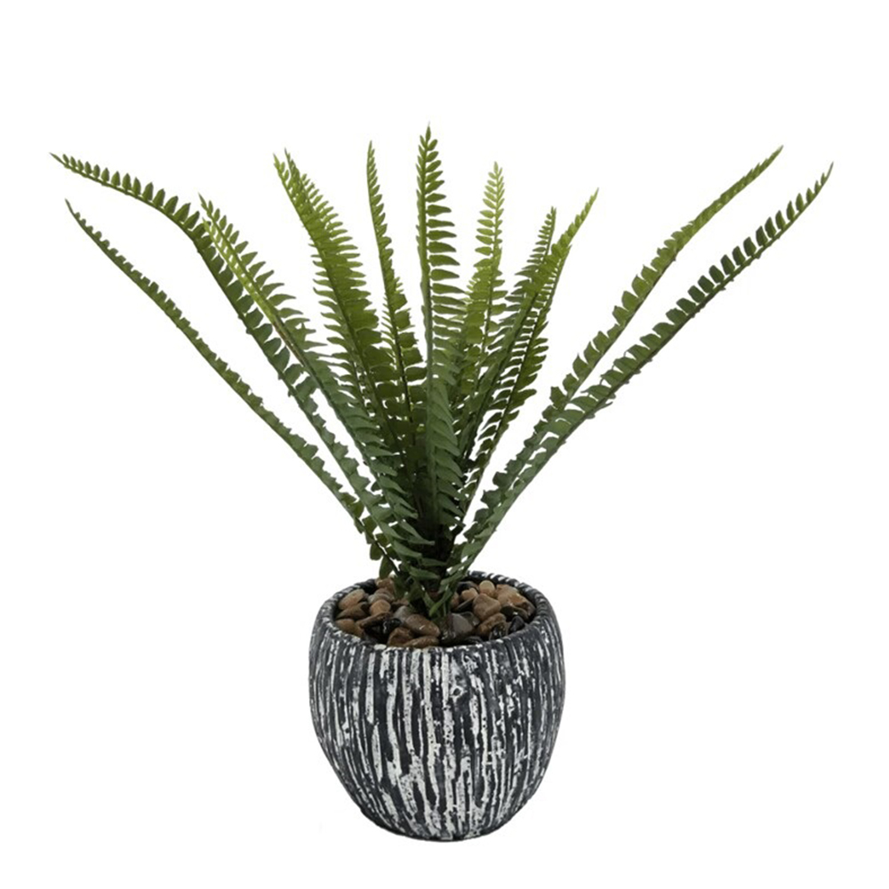 Decorative Fern Plant; (10×9/30)cm 1