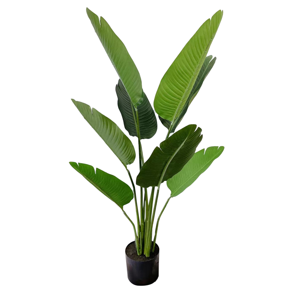 Decorative Banana Leaf Plant; 160cm 1
