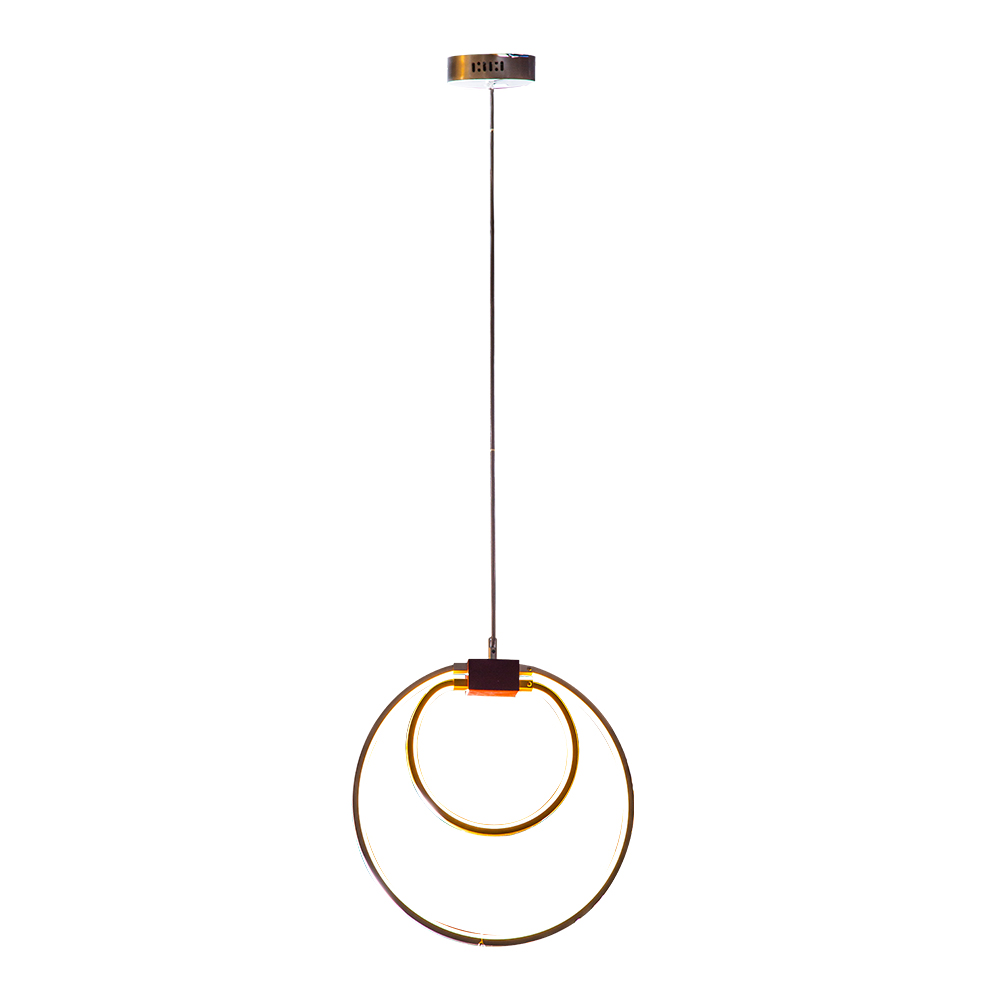 Domus: Wire Ceiling Pendant; 25W, Silver/Gold 1